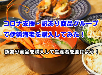 コロナ支援訳あり商品グループ